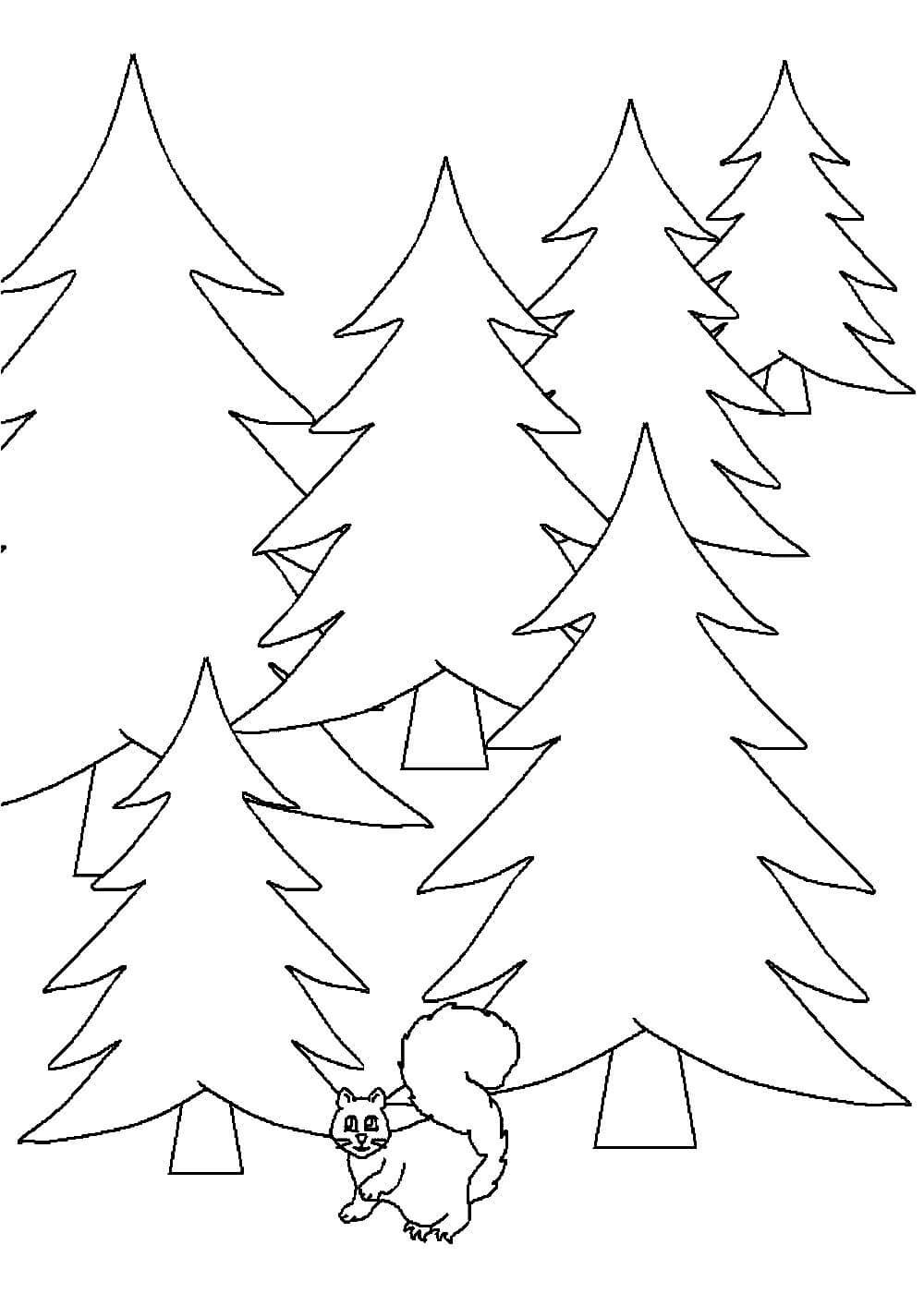 Зимний лес раскраска