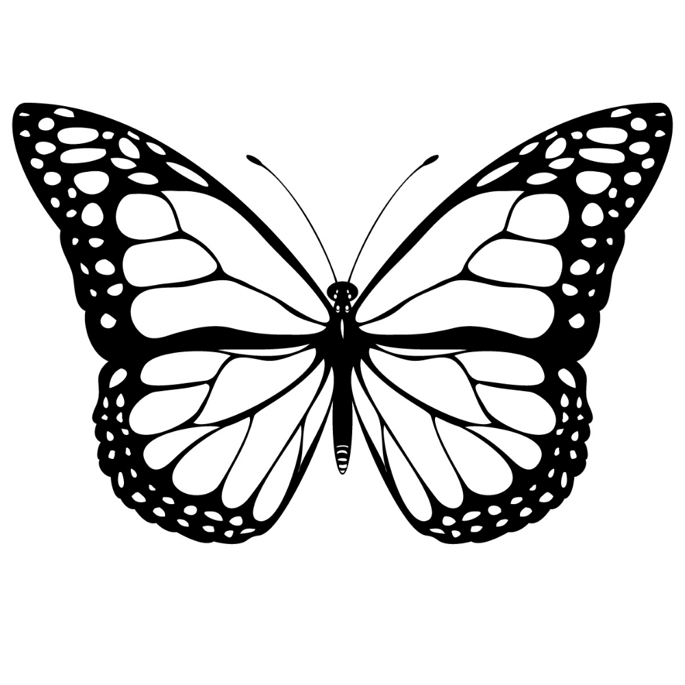 Трафареты бабочки. Бабочка рисунок. Раскраска "бабочки". Бабочки картинки.