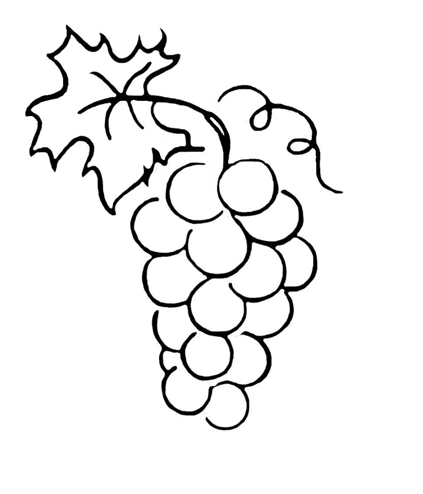 Контур винограда для раскрашивания