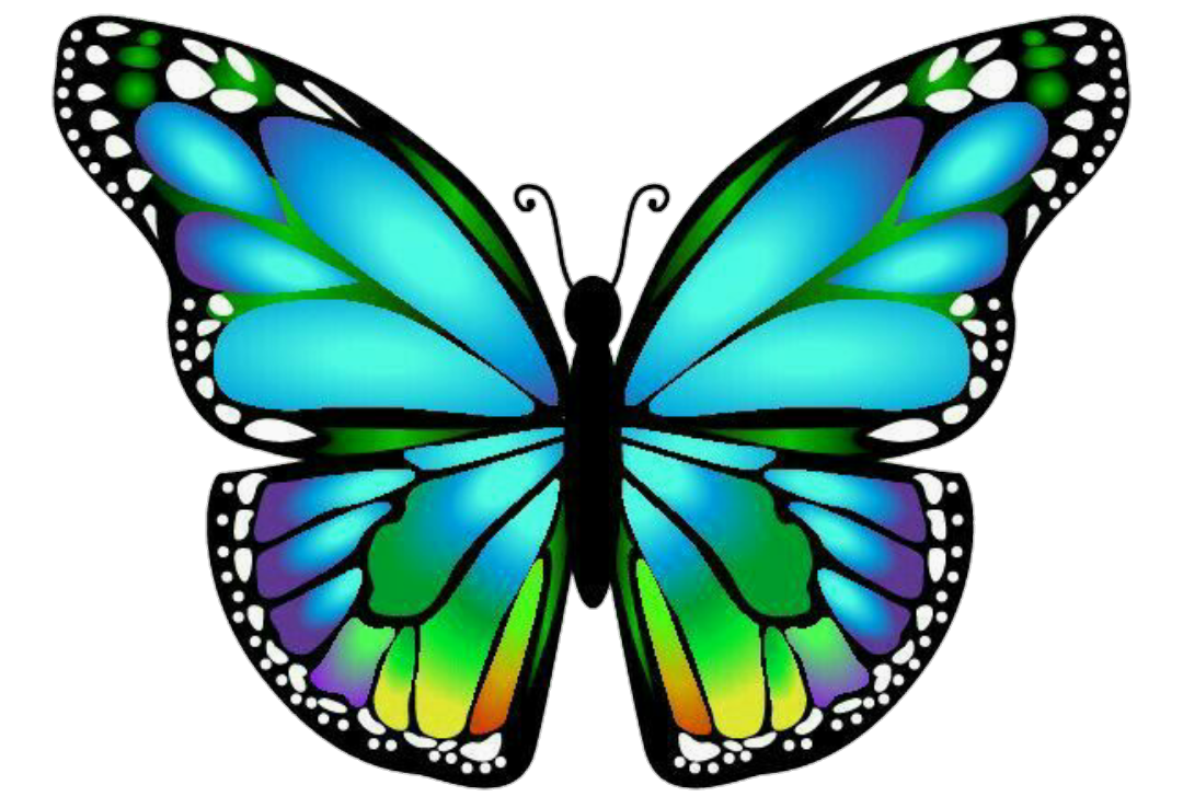 Распечатать цветной. Бабочки цветные. Бабочки для вырезания цветные. Бабочки красивые цветные. Разноцветные бабочки для вырезания.