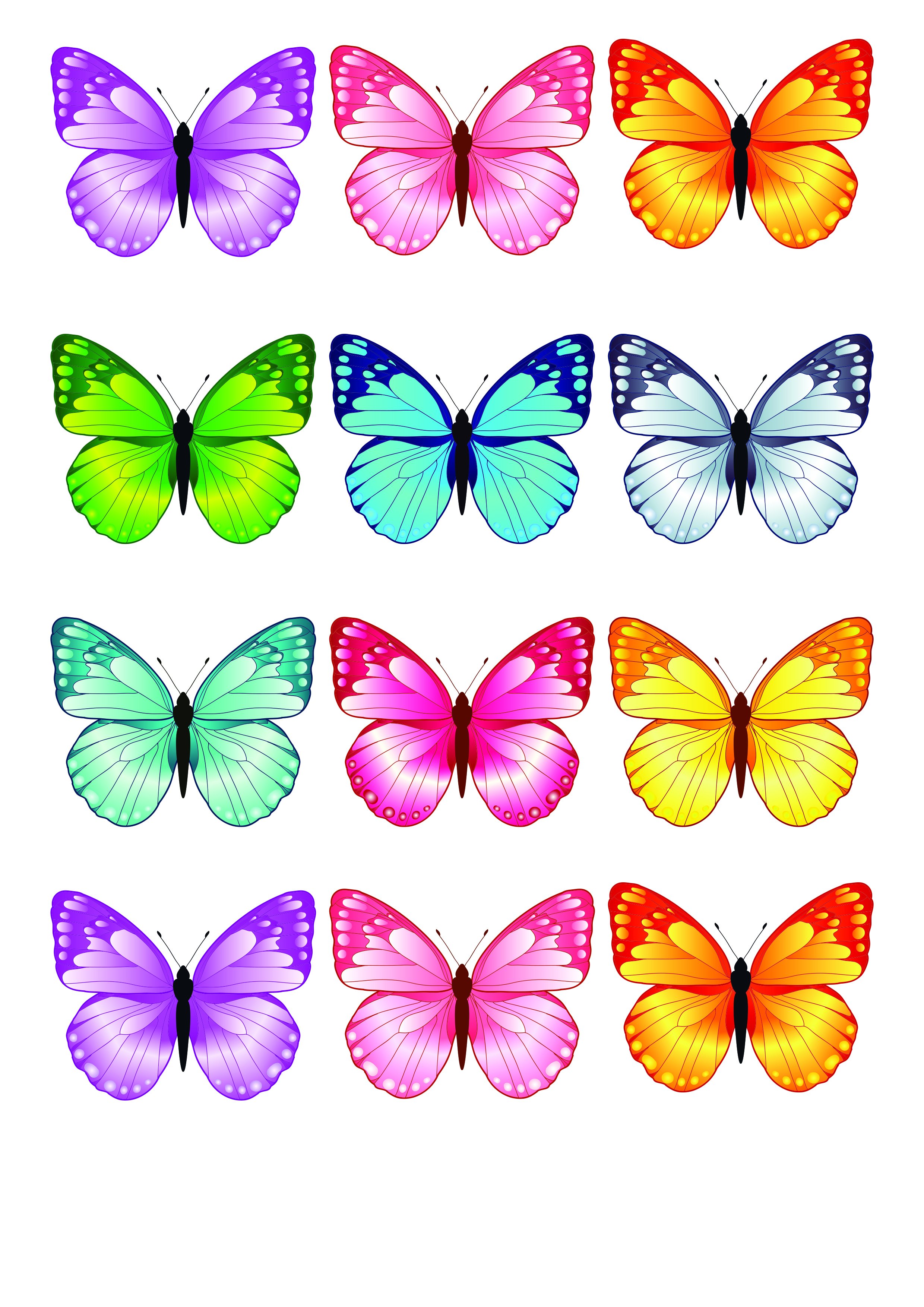 Бабочка рисунок цветной трафарет