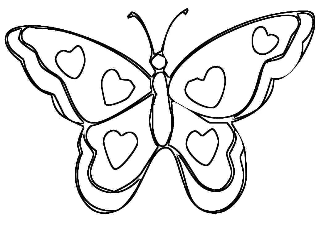 Бабочка картинка для детей раскраска