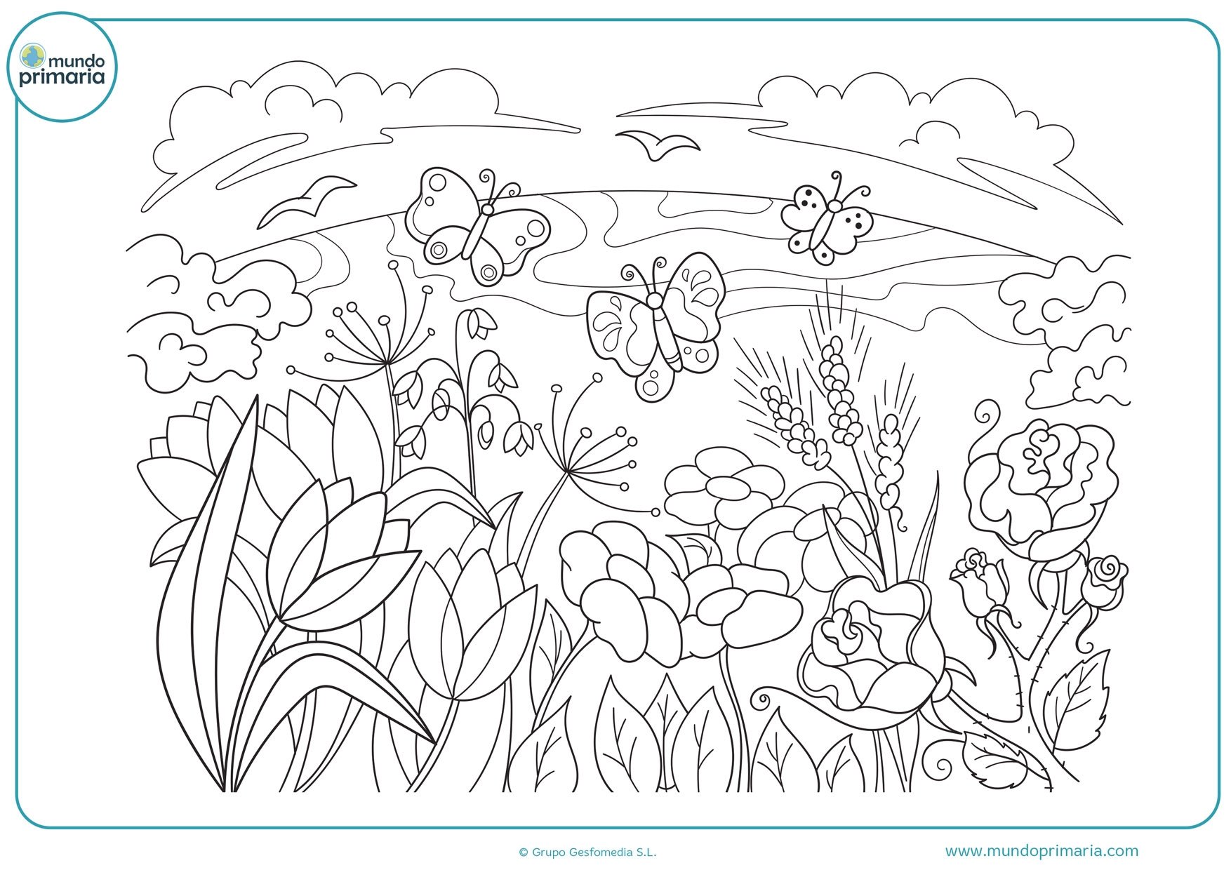 Цветы на лугу раскраска для детей
