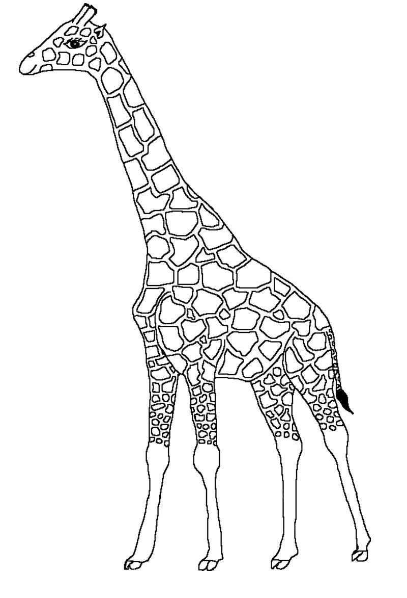 Графический рисунок жирафа