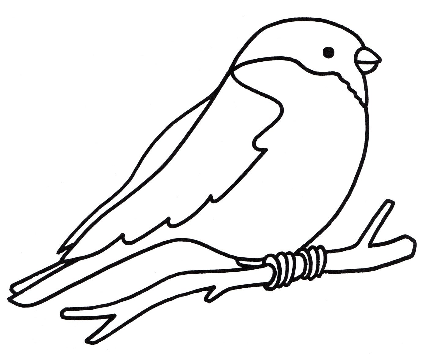 Птица Снегирь раскраска для детей