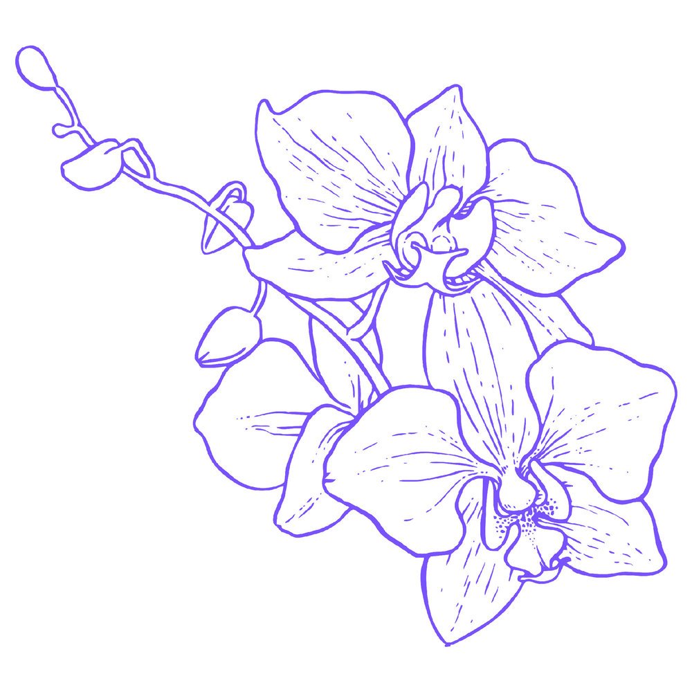 Трафарет орхидеи