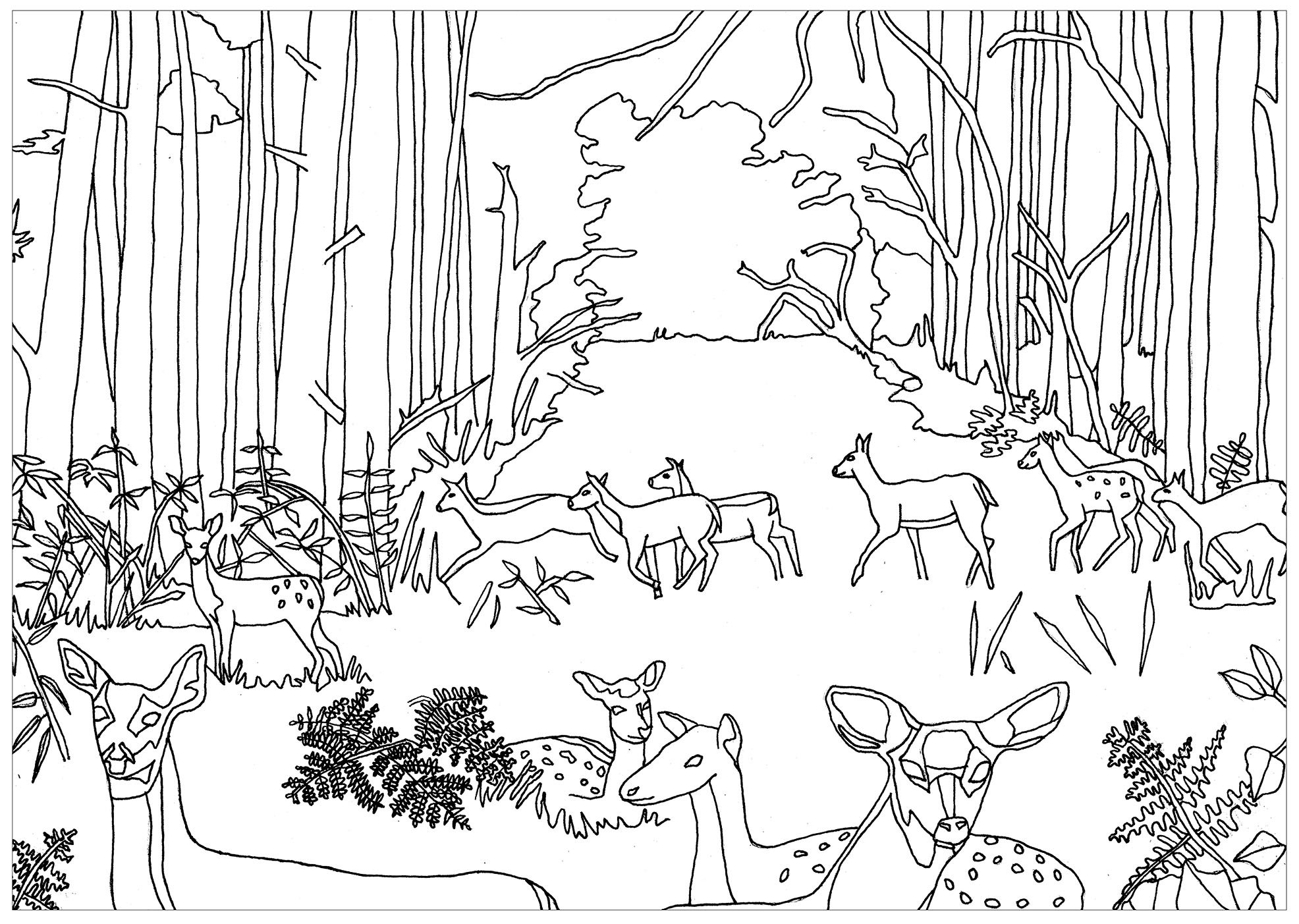 Раскраска Лесные звери в лесу