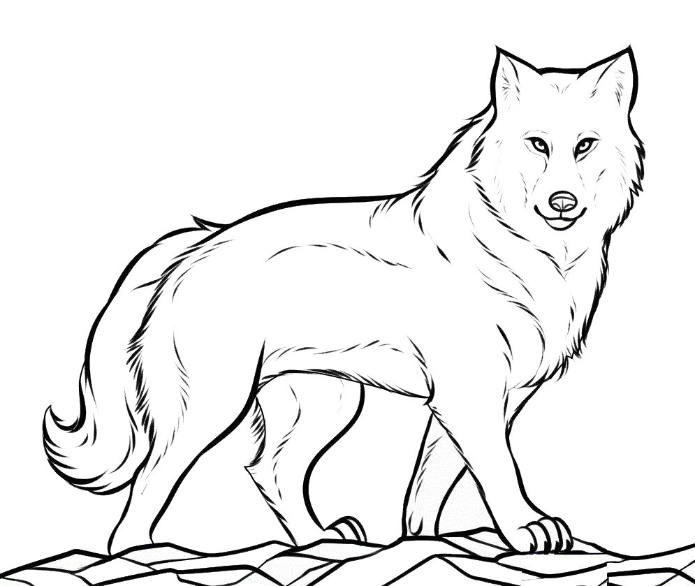 Нарисовать волка