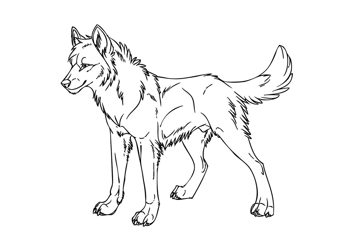 Волчонок детский рисунок