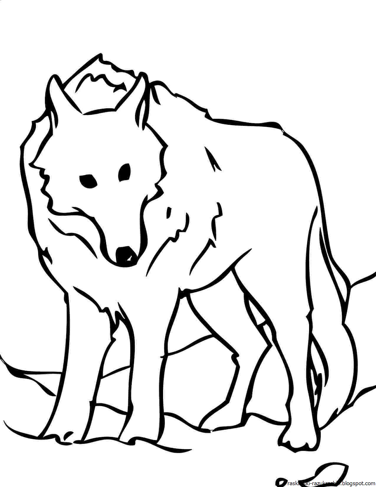 Волк картинка распечатать