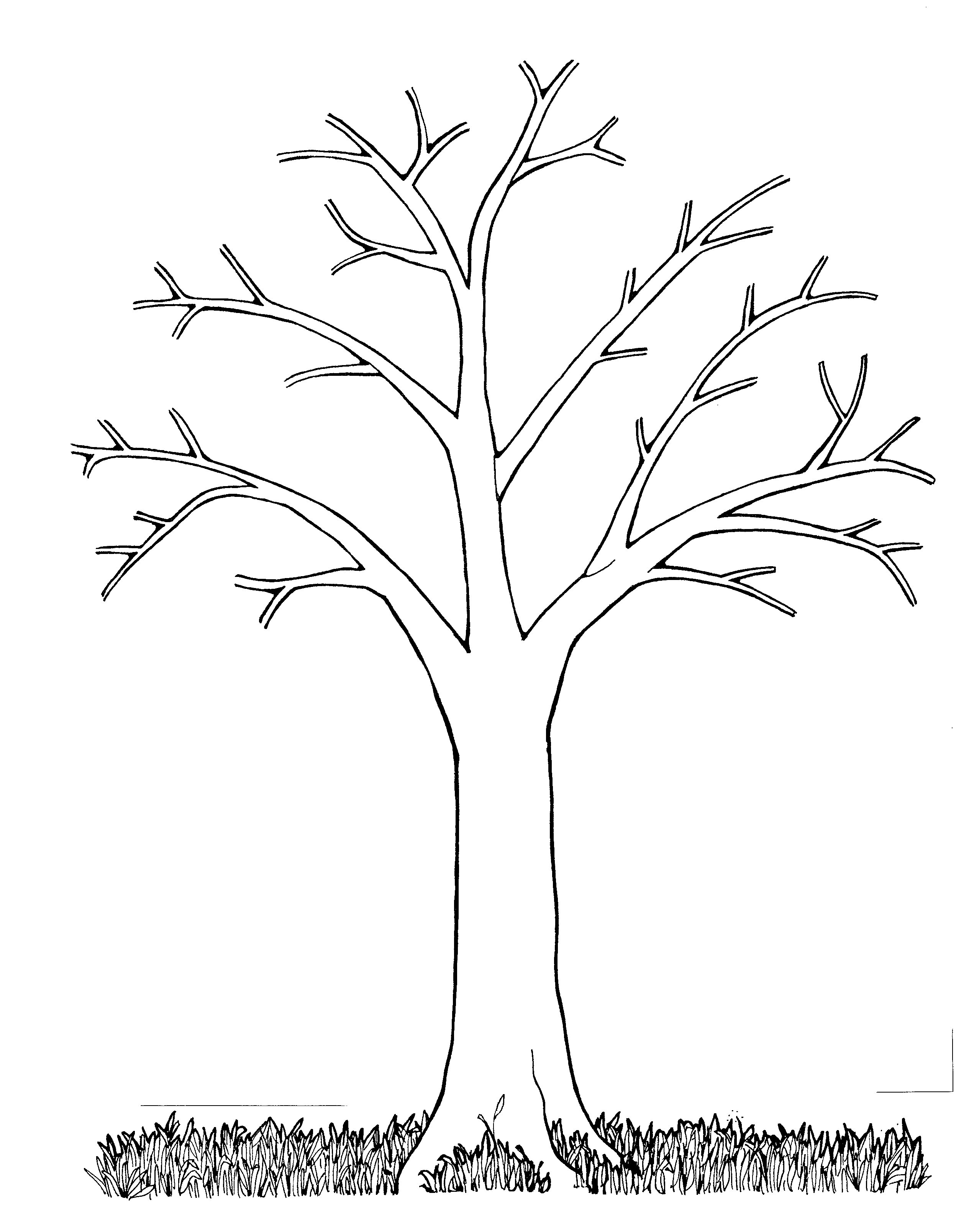 Раскраска дерево без листьев для детей