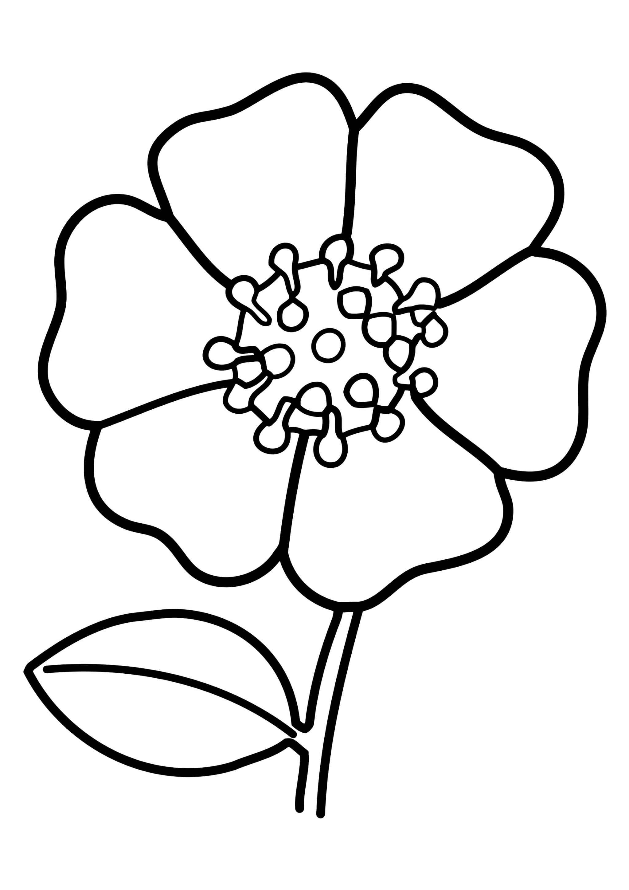 картинки цветы для рисования детям