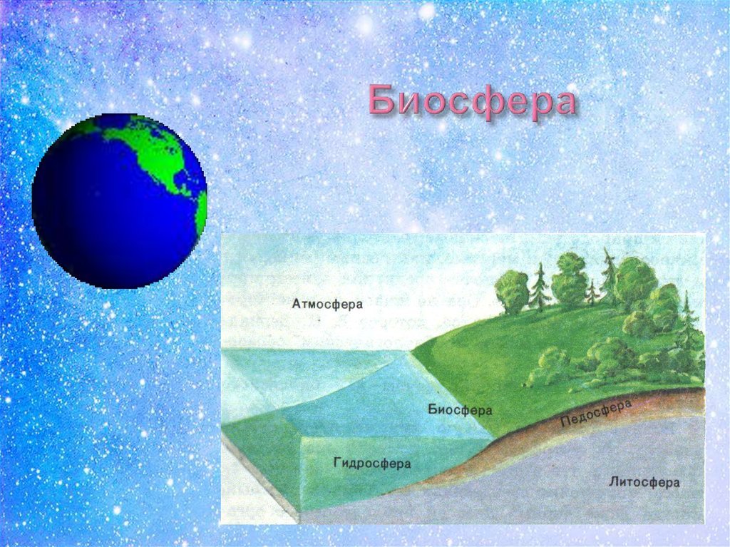 Атмосфера возникла позже биосферы