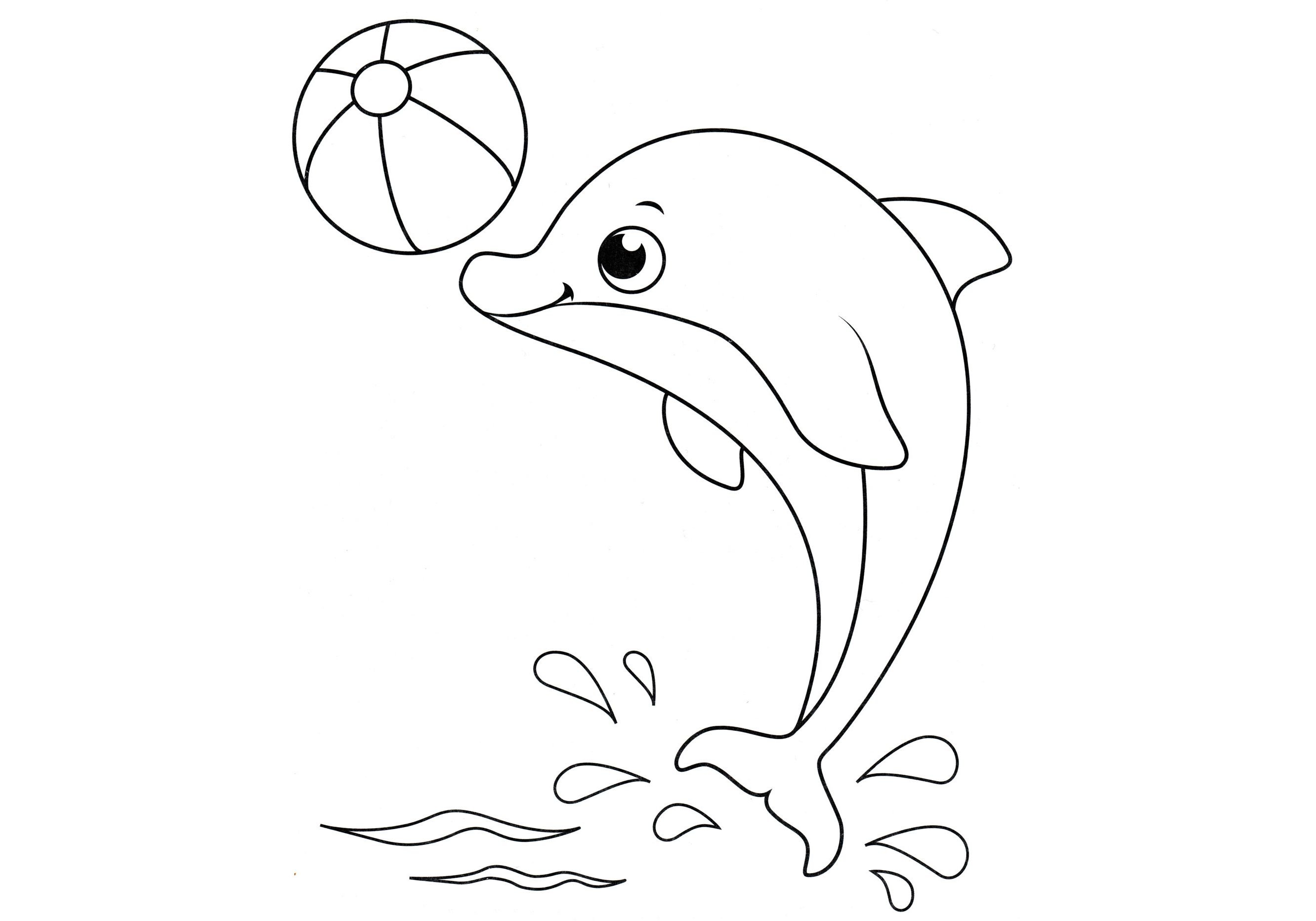 Дельфин рисунок для детей раскраска