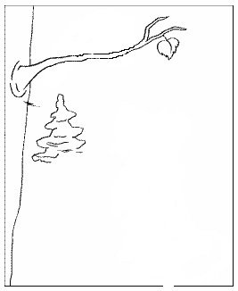 Раскраска по басне Крылова ворона и лисица