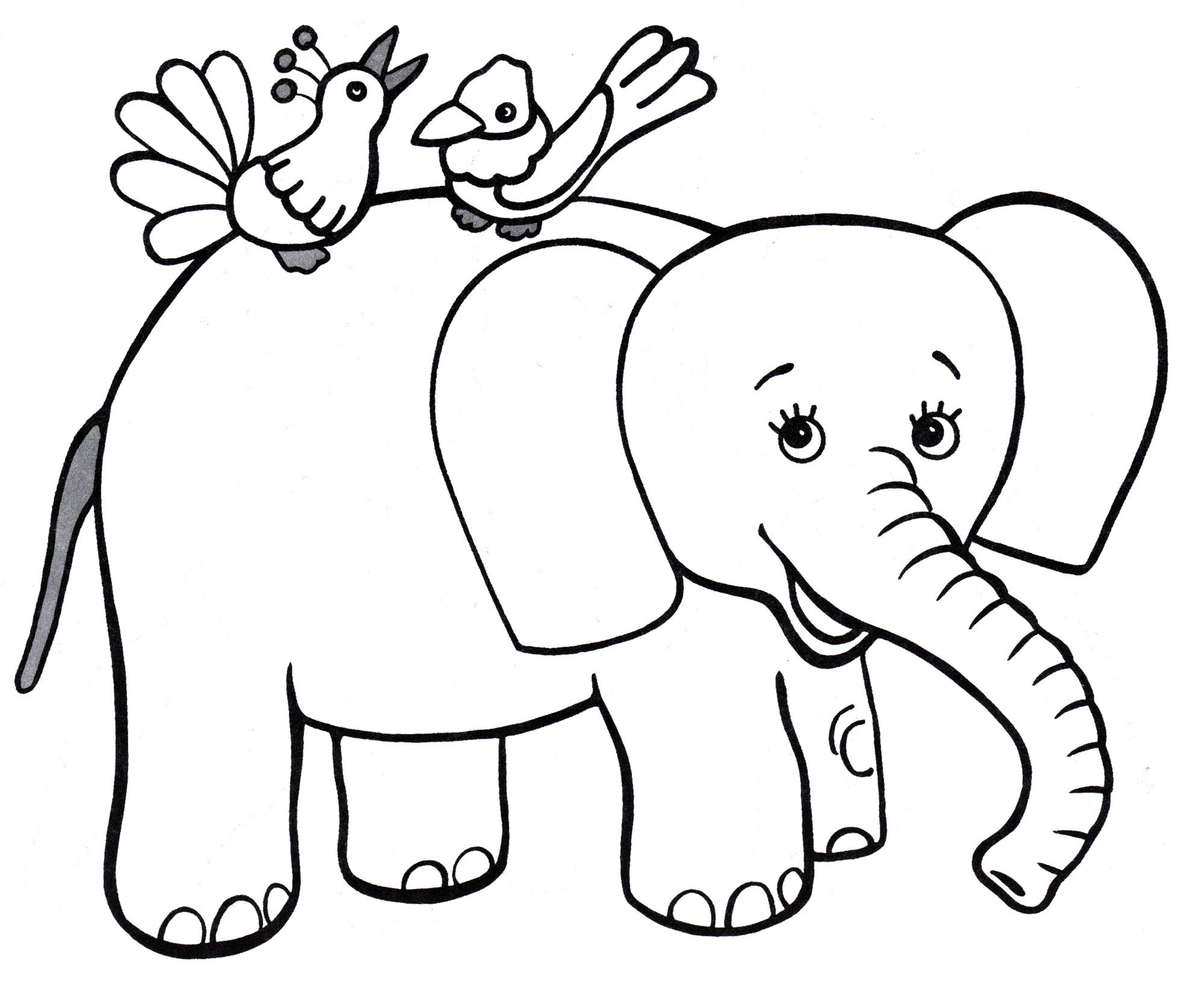 Раскраска Слоненок