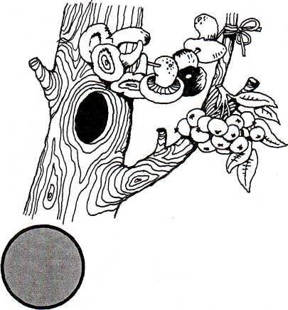 Дерево с дуплом раскраска