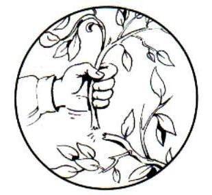 Экологические знаки черно белые