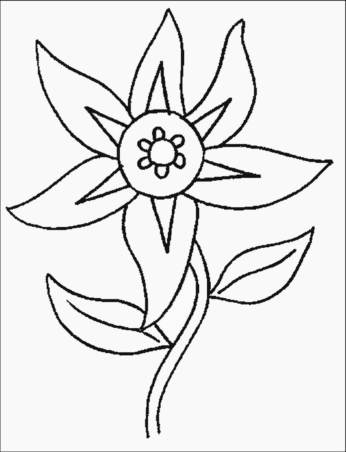 Рисунки цветов для детей