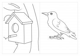 Скворечник раскраска