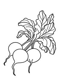 Редис раскраска