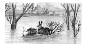 Зайцы в половодье. Половодье рисунок. Паводок раскраска. Рисунок на тему половодье весной. Заяц жил на островке вода в реке