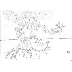 Раскраска кабанчик