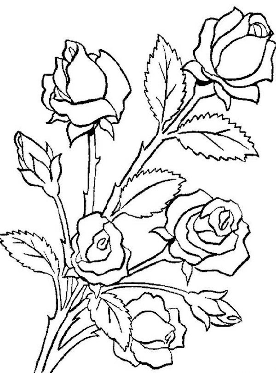 картинки для раскрашивания цветы красивые