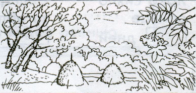 Пейзаж поздней осени раскраска