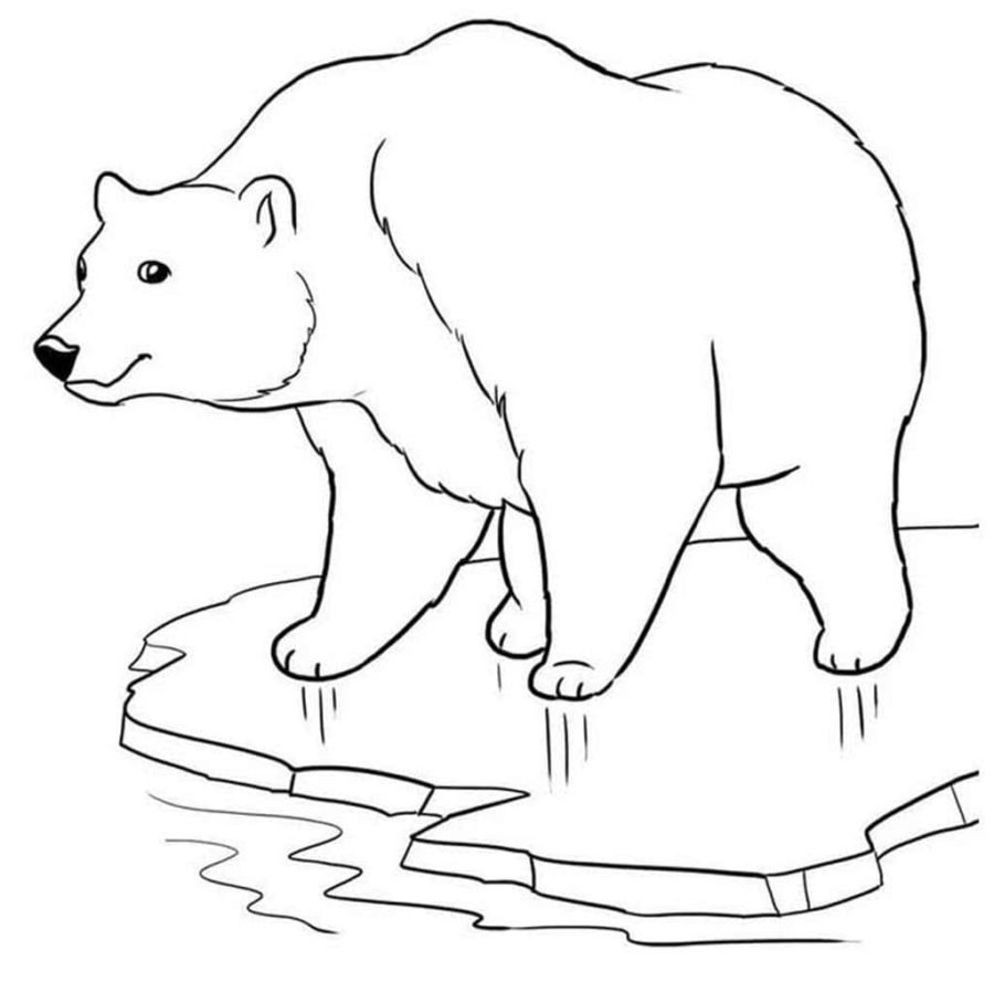 Раскраска УМка Маша и медведь Азбука и счет 16 страниц с прописями