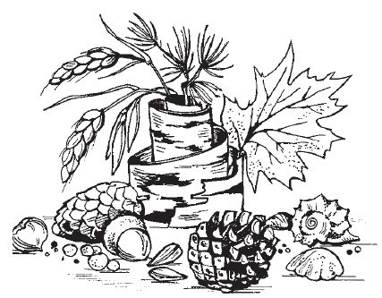 Дары осени раскраска