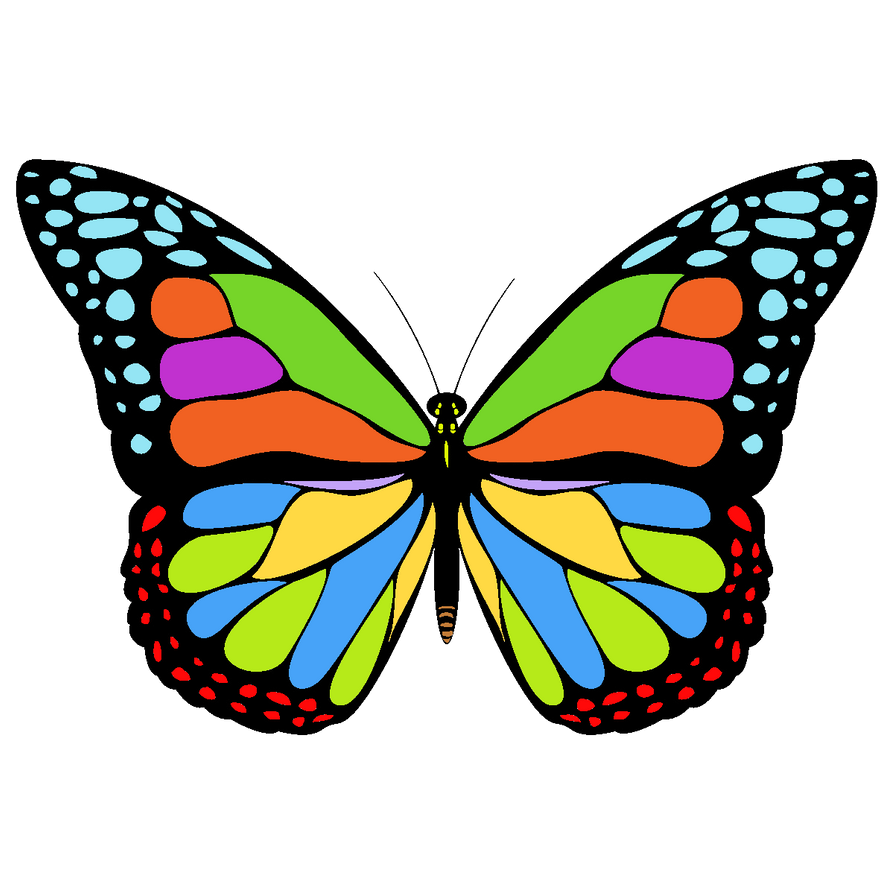 Распечатать цветной. Разноцветные бабочки. Бабочки цветные. Бабочка рисунок. Бабочки для вырезания цветные.