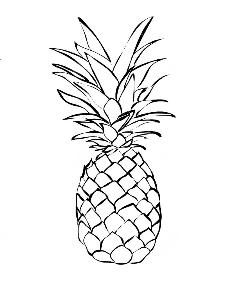 картинки для раскрашивания ананас