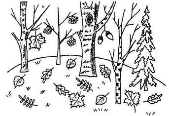 Осеннее дерево раскраска для детей