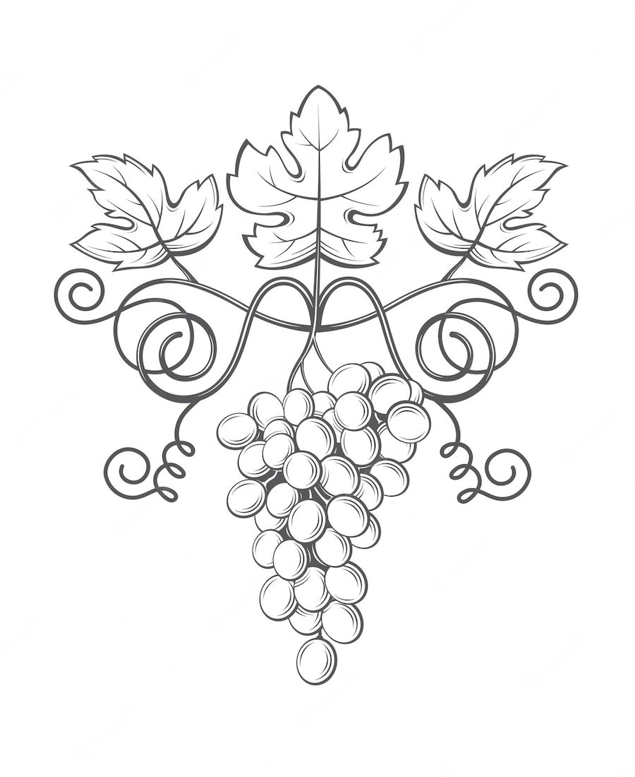 Рисунок виноградной грозди с листьями