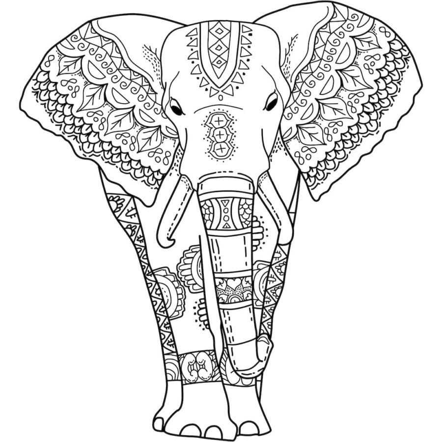 Слон Мандала Индия