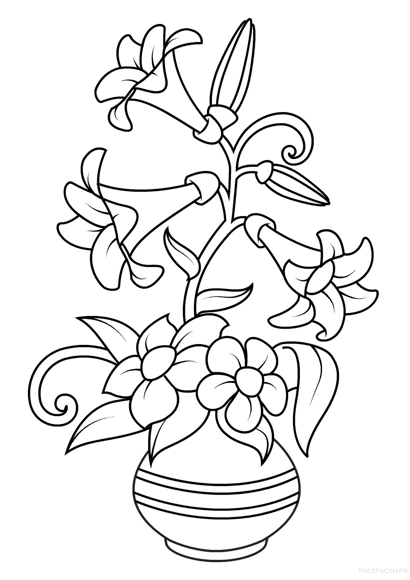 Раскраска букет цветов в вазе