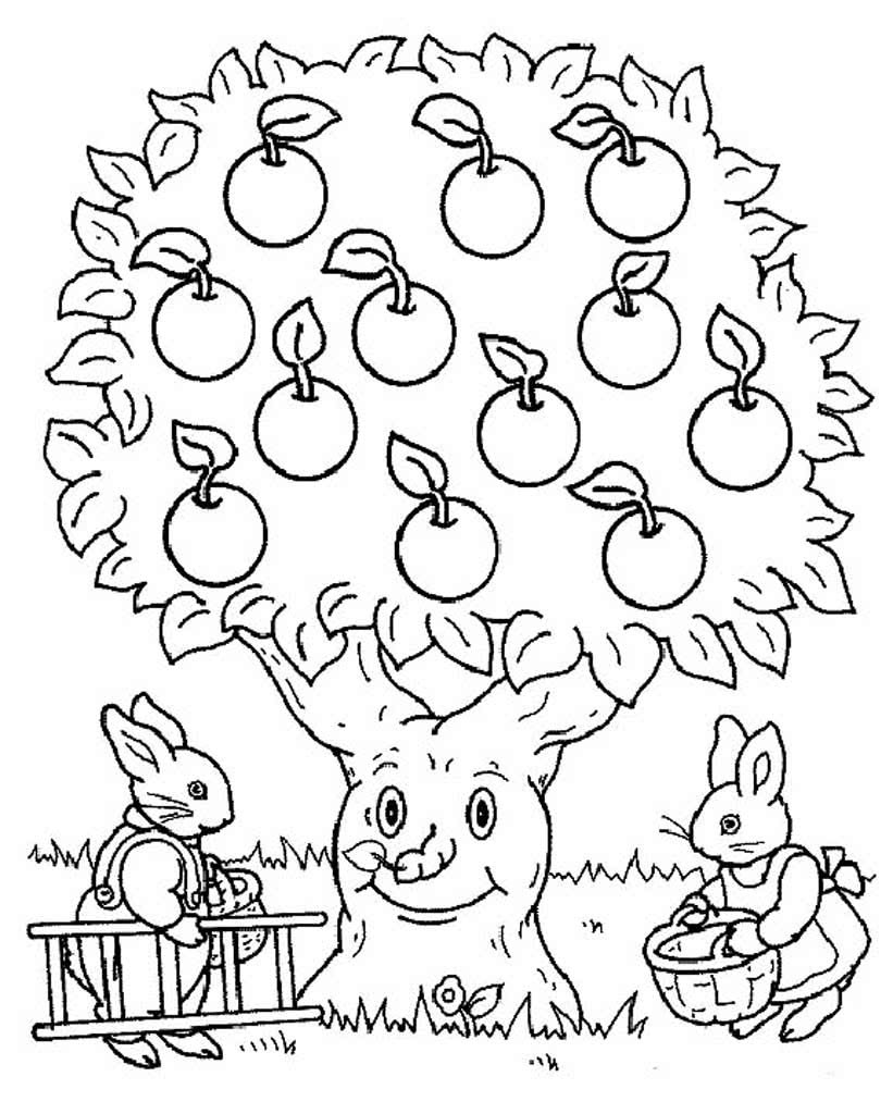 Раскраска яблоня с яблоками для детей 4-5 лет
