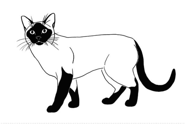 100 000 изображений по запросу Черный силуэт кошки доступны в рамках роялти-фри лицензии