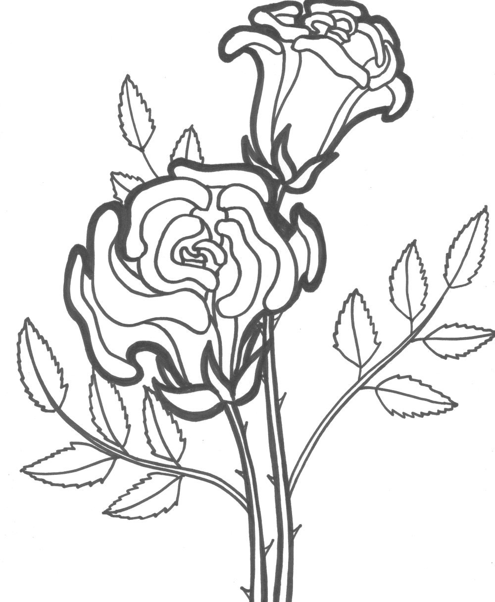 Роза цветок раскраска для детей