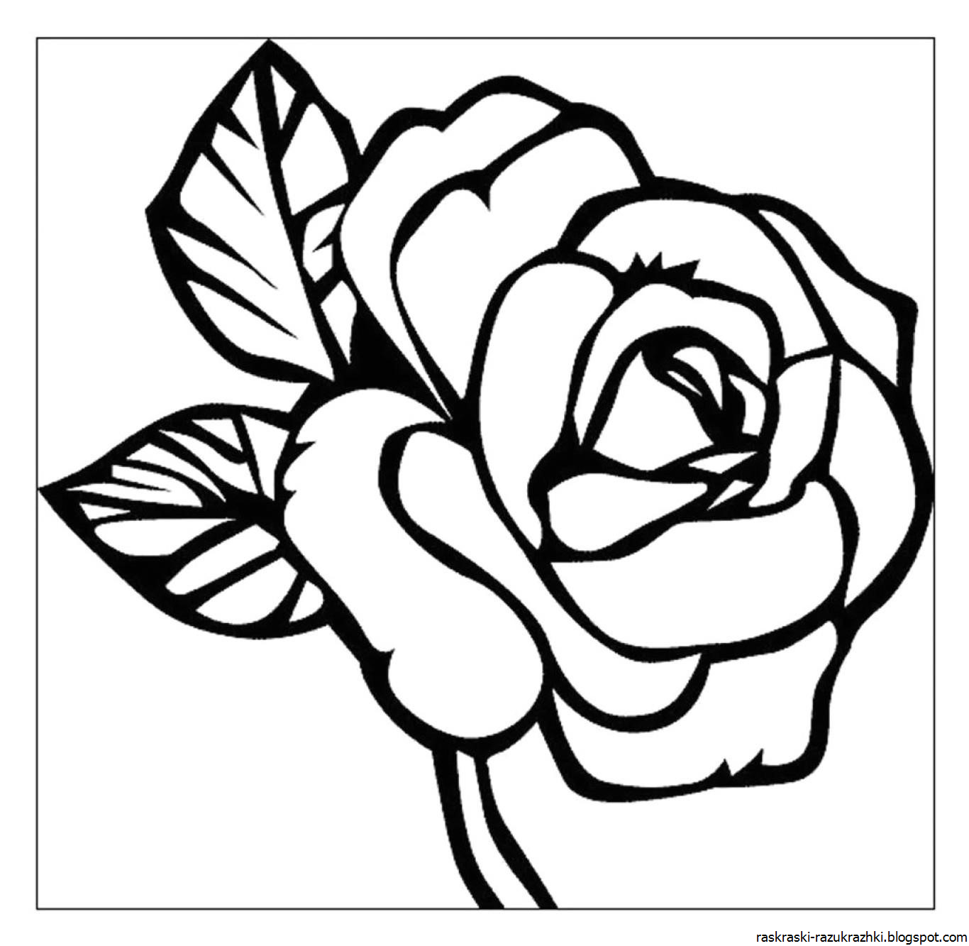 Черно белые рисунки шаблоны. Роза раскраска. Роза раскраска для детей. Раскраска роза цветок. Трафарет розы для раскрашивания.