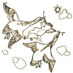 Раскраска из сказки лягушка путешественница