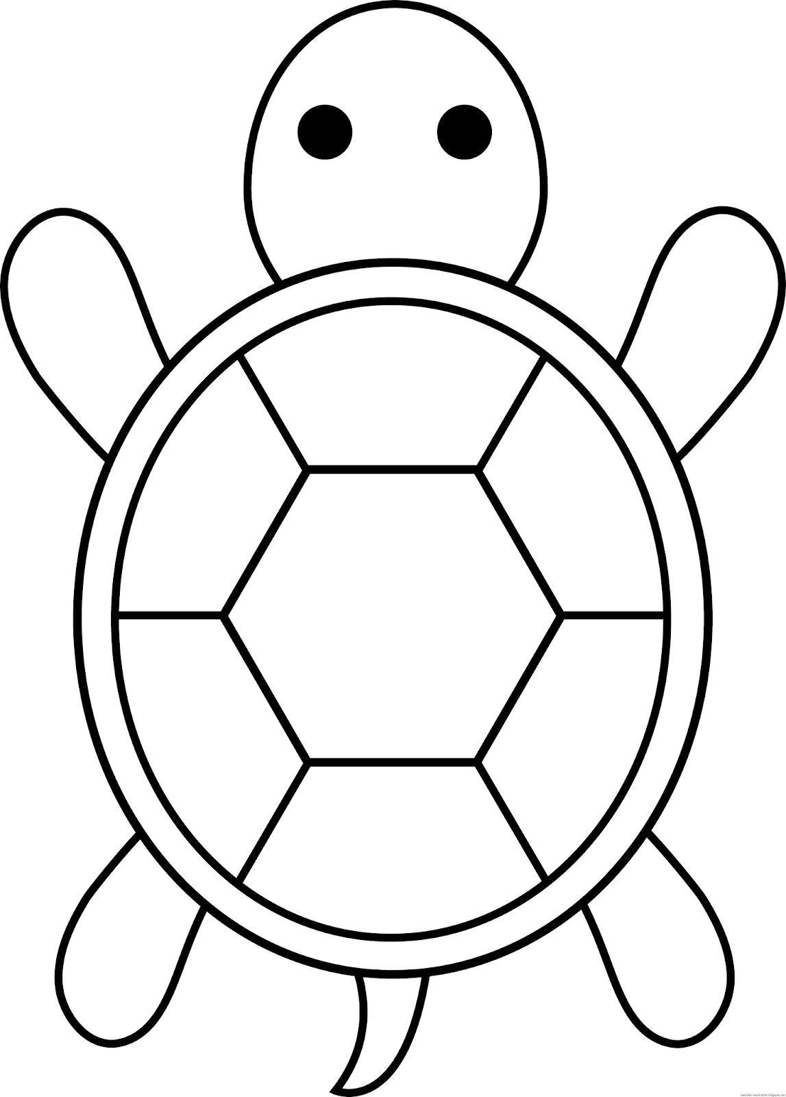 Раскраска черепашка. Раскраски черепах. Черепаха раскраска для малышей. Трафареты детские для рисования. Рисование картинки шаблоны