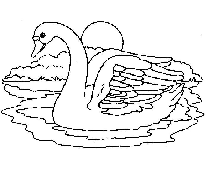 Распечатать картинку лебедь. Лебедь раскраска. Лебедь рисунок раскраска. Лебедь раскраска для детей. Лебедь контурный рисунок.