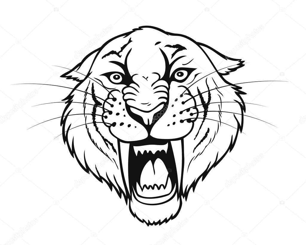 Саблезубый тигр голова
