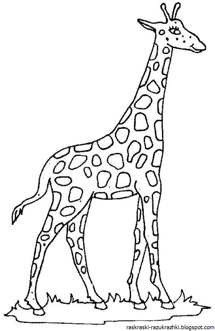 Игрушка дергунчик Жираф