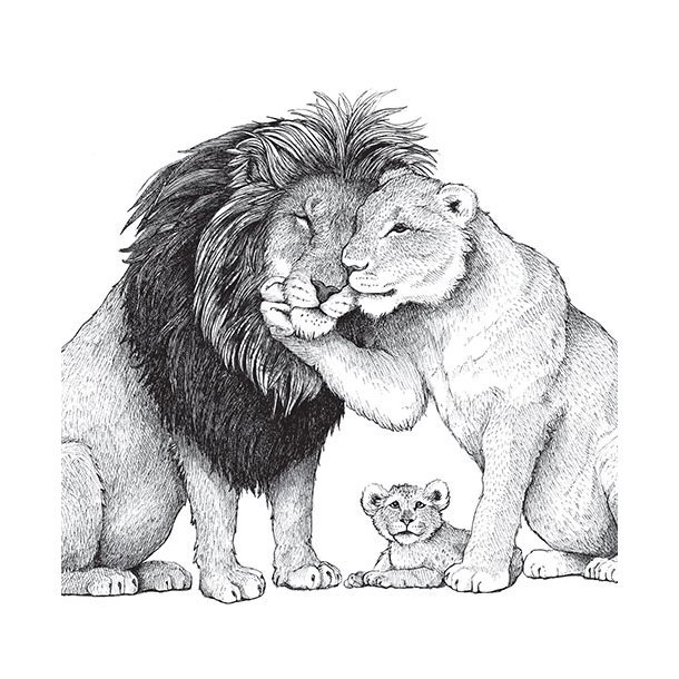 Отец лев дочь лев. Тату семья Лев львица Львенок. Лев со львицей и львенком черно белые. Львы семья. Лев рисунок.
