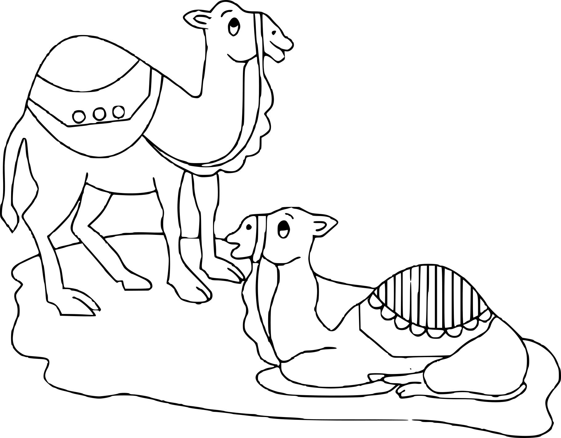 Детская раскраска верблюд