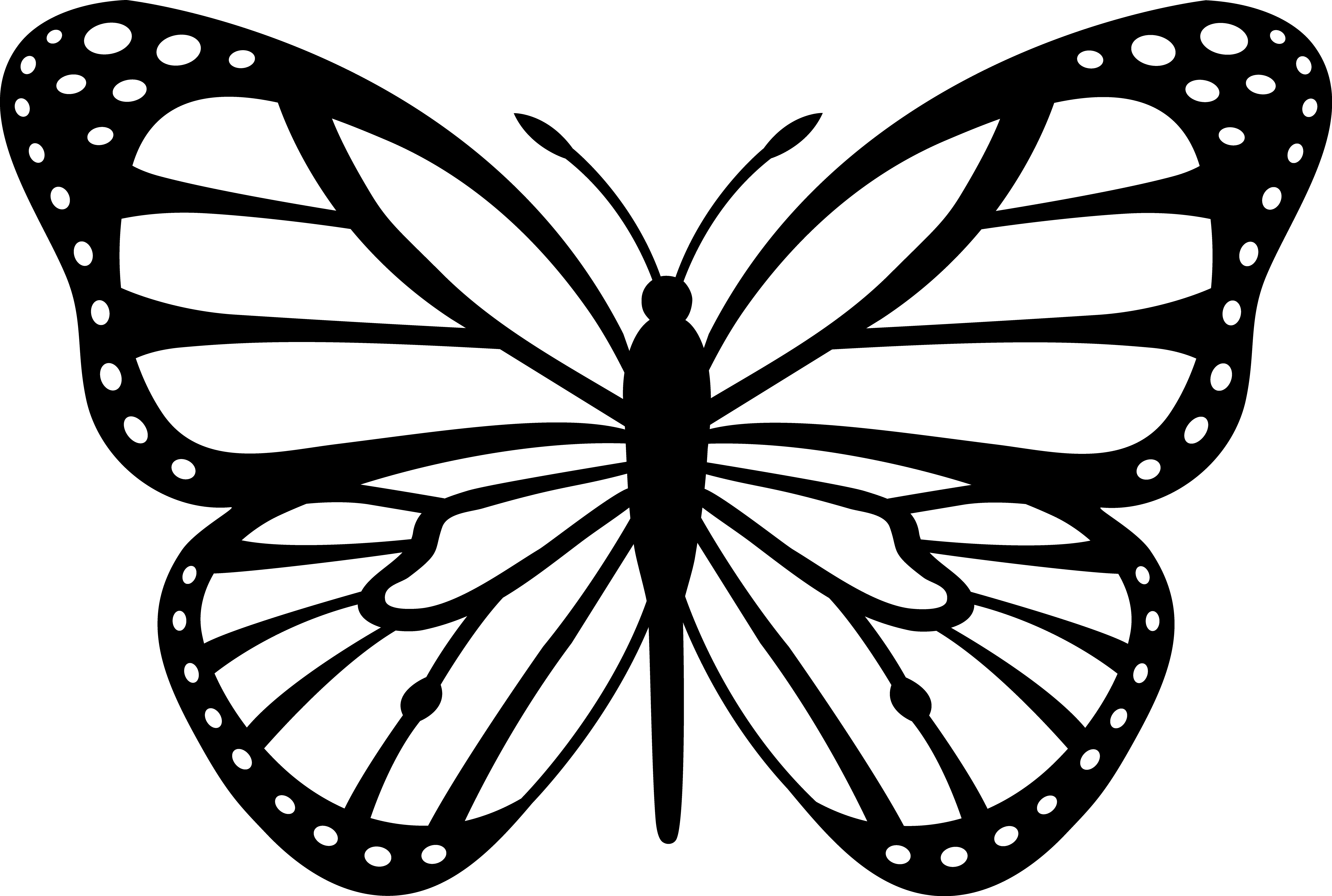 Картинки пнг раскраски. Шаблон бабочки. Трафареты бабочки. Бабочка рисунок. Бабочка шаблон для вырезания.