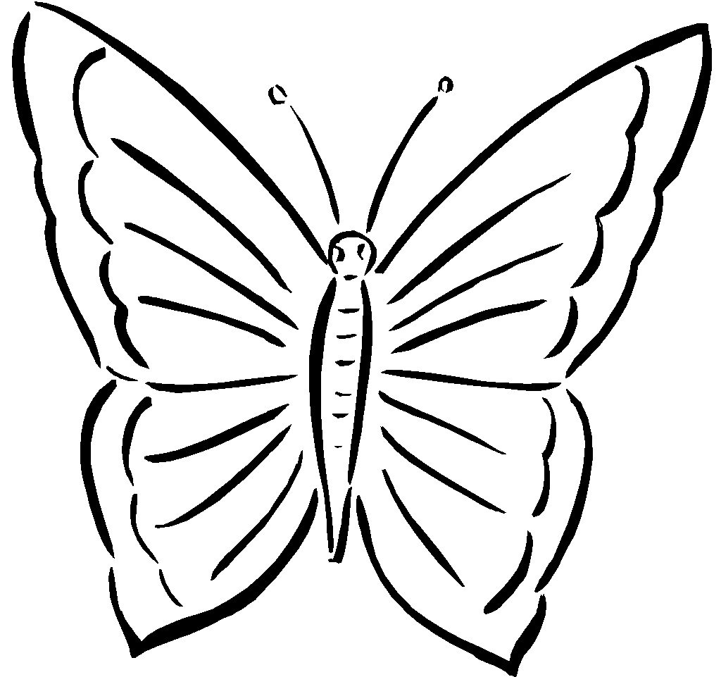 Бабочка шаблон для рисования